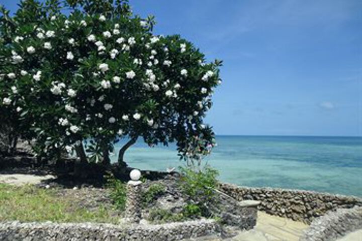 Beach 6 of 60