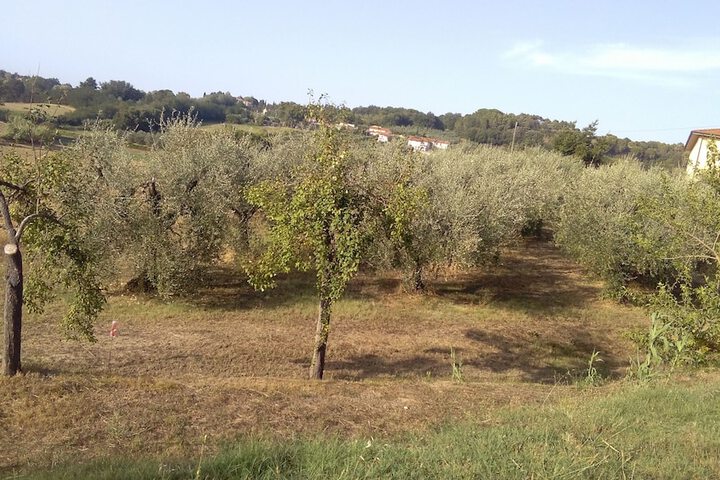 AGRITURISMO I GREPPIOLI