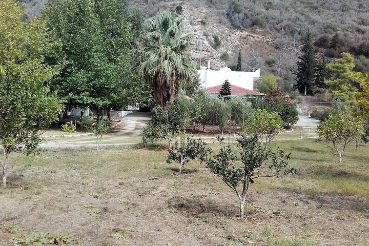 Property Grounds 25 of 42