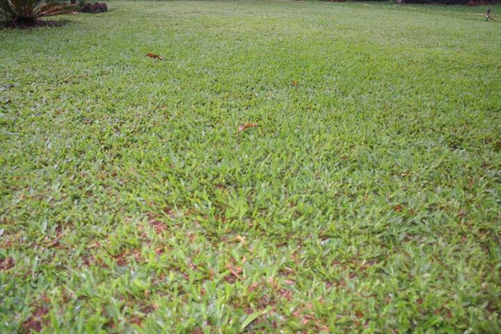 Property Grounds 19 of 23