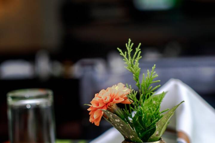 Dining 44 of 91