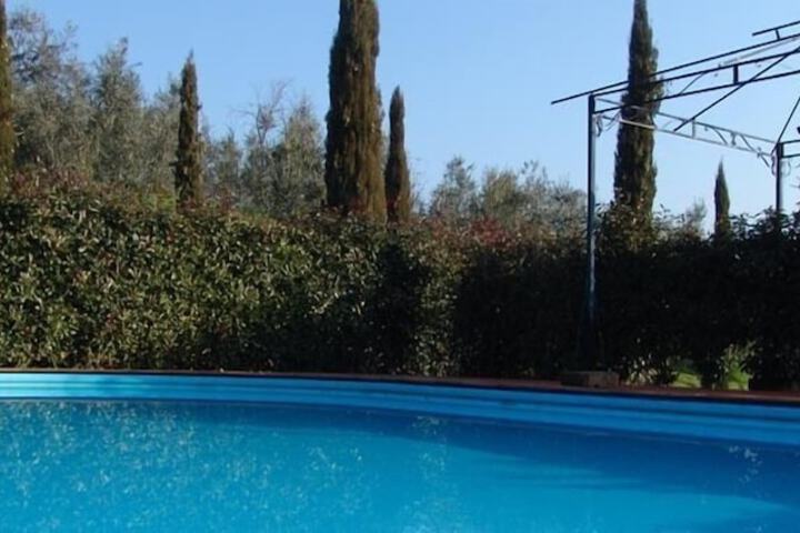 Pool 19 of 46