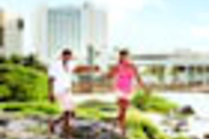 Beach 311 of 342