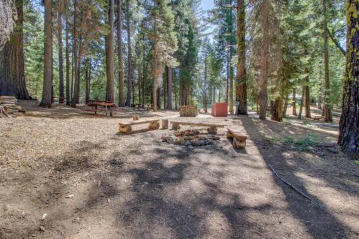 Sherwood Bear Cabin in Arnold, CA