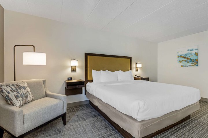 1 King Bed (6 of 11)