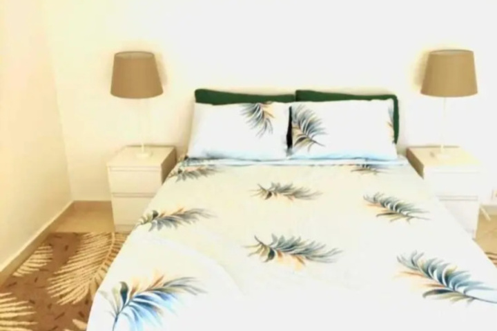 Spacious Downtown Flat