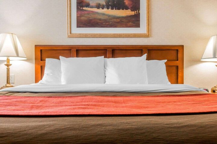 2 Queen Beds (9 of 15)