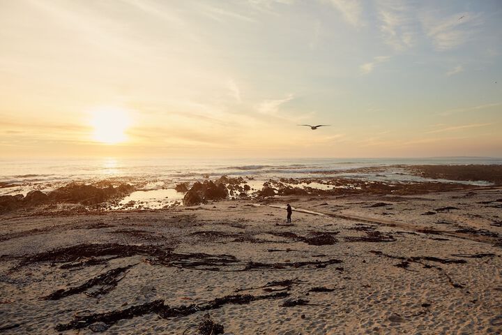Beach 110 of 137