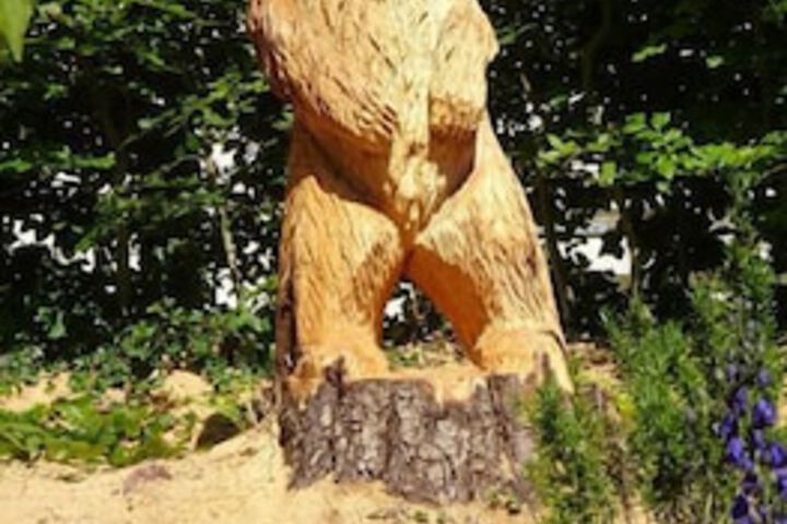 Spa and Wellness Pictures