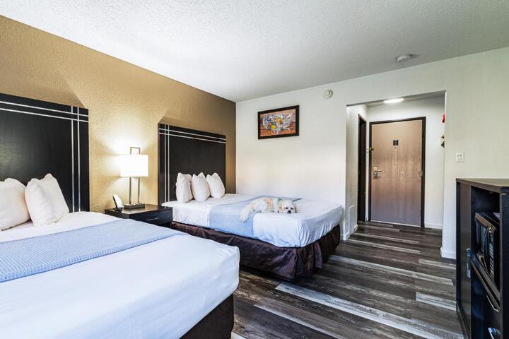 2 Double Beds