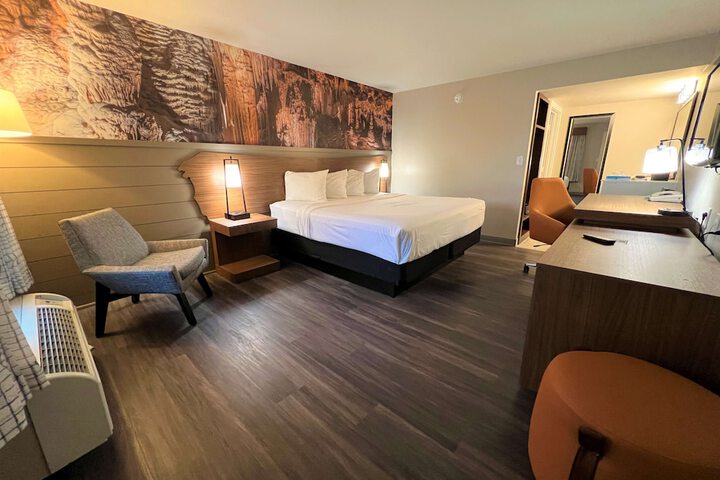 1 King Bed Theme Room Work Desk Coffee Maker Iron and Ironing Board Walk in Shower (4 of 9)