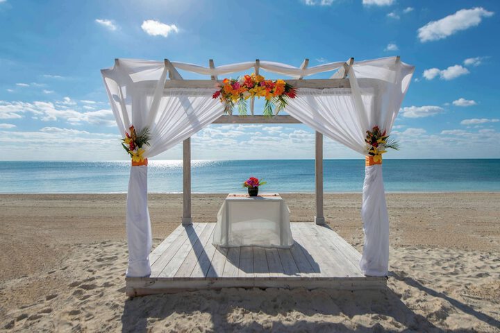 Wedding/Banquet 98 of 130