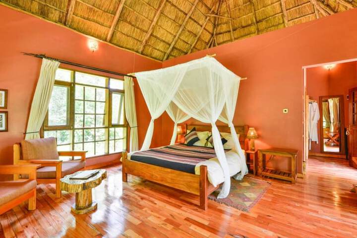Primate Lodge