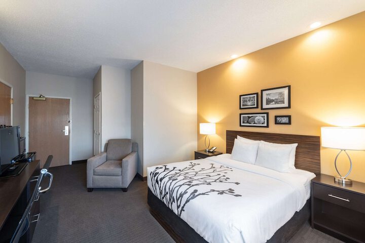 1 Queen Bed Accessible (12 of 14)