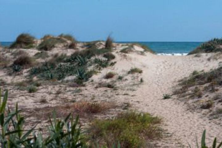 Beach 6 of 19