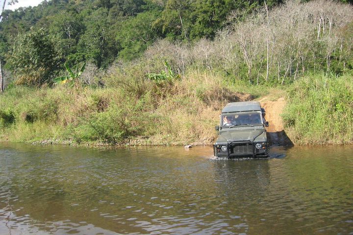 Safari
