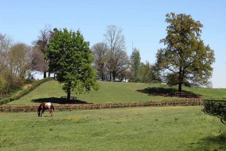 Property Grounds 29 of 40