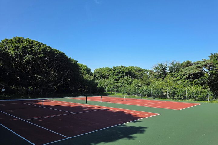 Tennis court