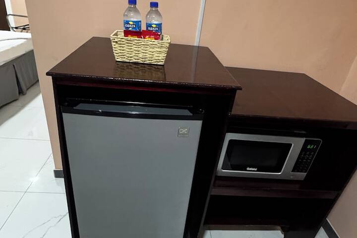 Mini-refrigerator
