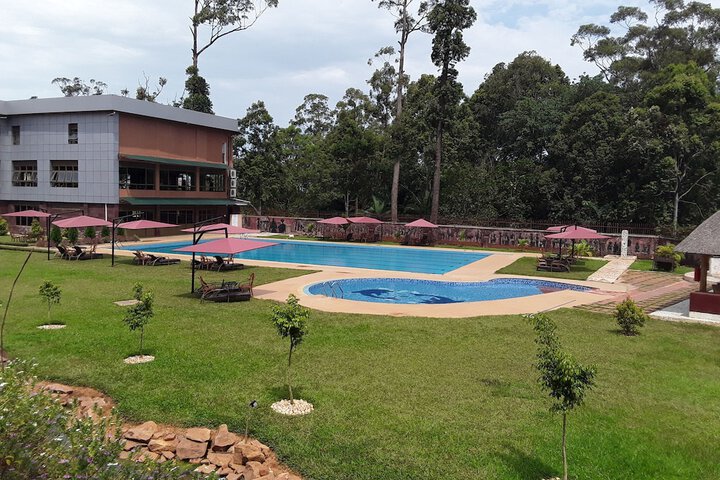 Pool 33 of 96