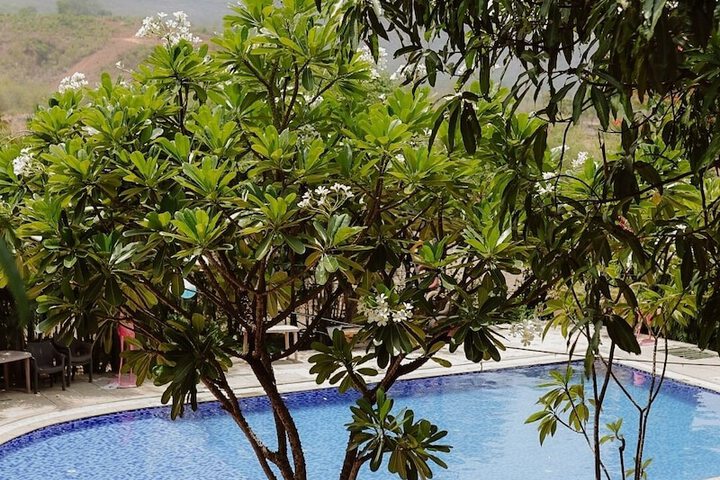 Pool 104 of 125