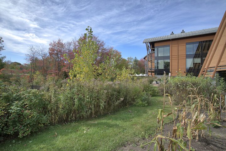 Hotel Exterior 60 of 65