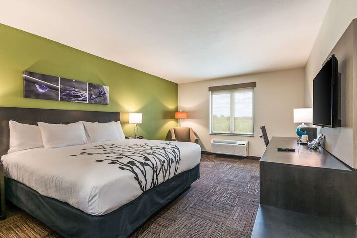 1 King Bed (16 of 18)