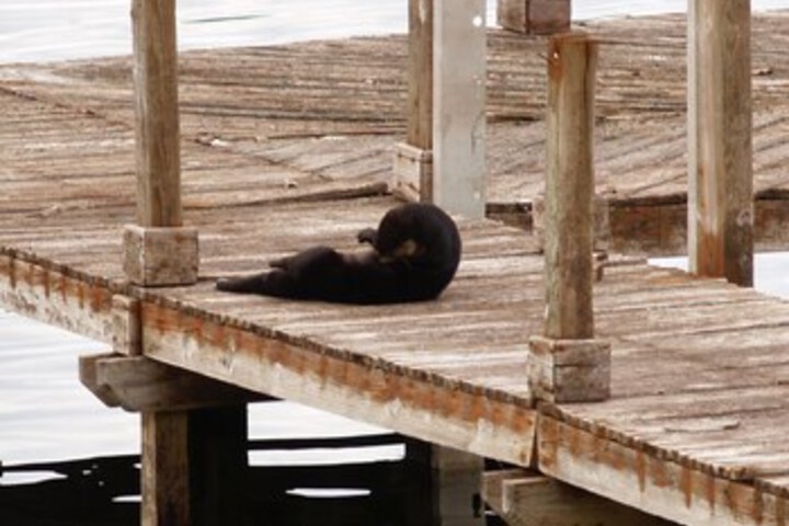 Outdoor Activities 22 of 66