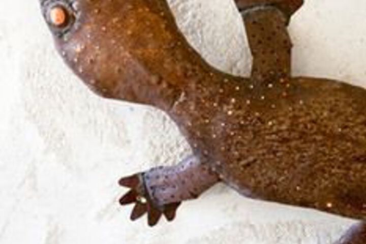 Hotel Interior 18 of 29