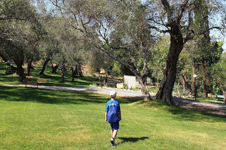 BBQ/picnic area