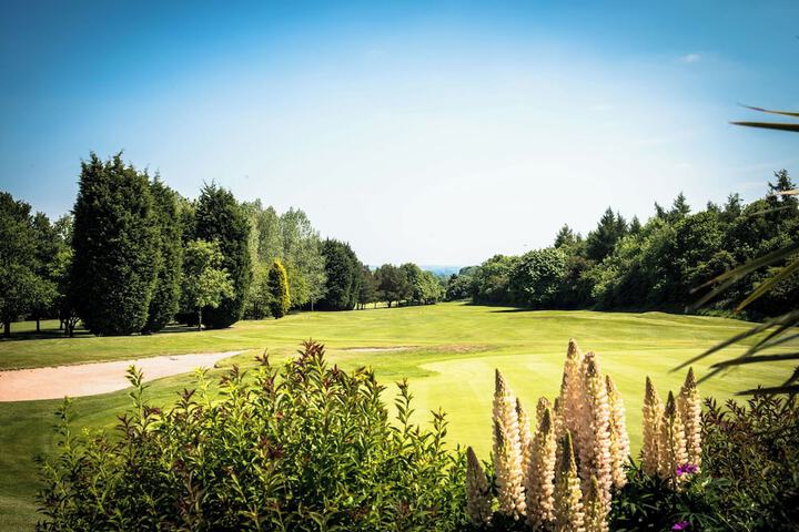 Golf 25 of 42