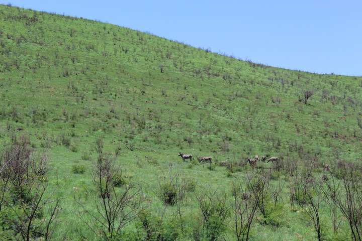 Ecotours