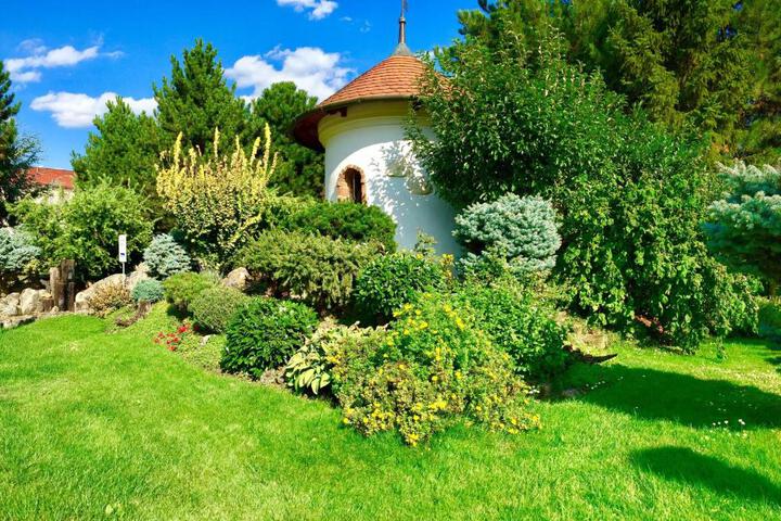 Photo 29