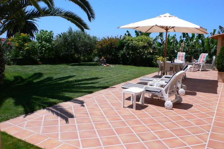 General 3 of 22