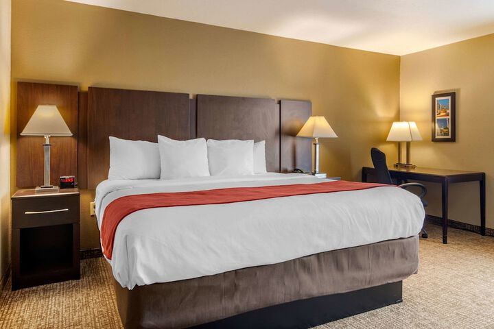 1 King Bed (5 of 8)