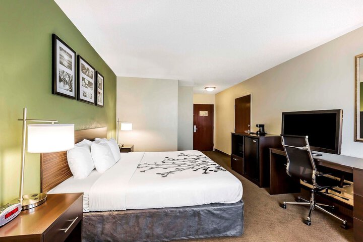 1 King Bed (7 of 8)
