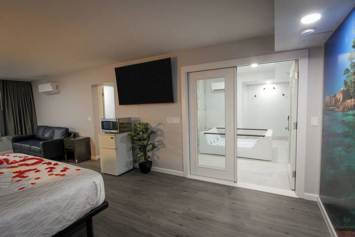 1 King Bed Pet Friendly Accessible (71 of 90)