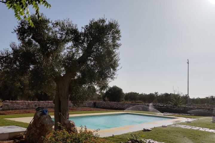 Pool 10 of 59