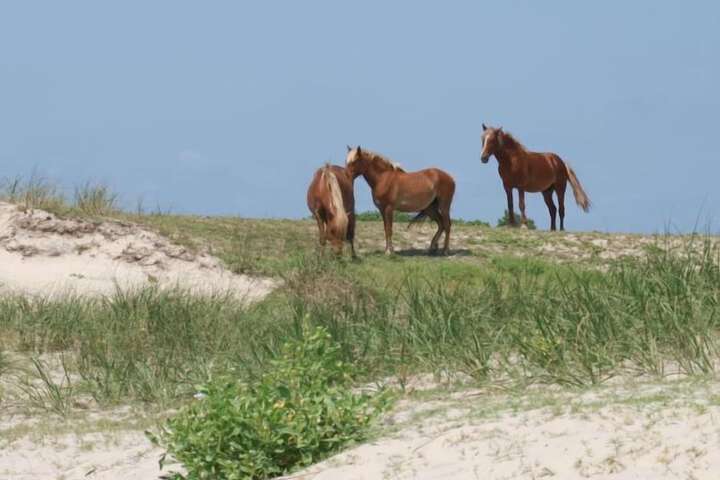 Beach 76 of 113