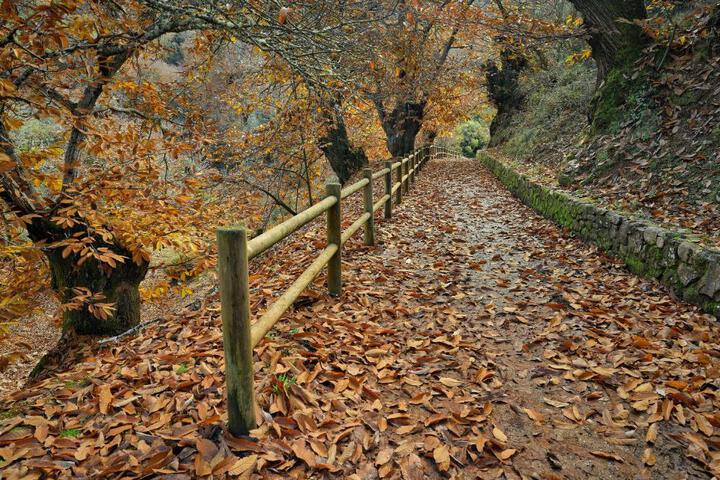 General 47 of 53