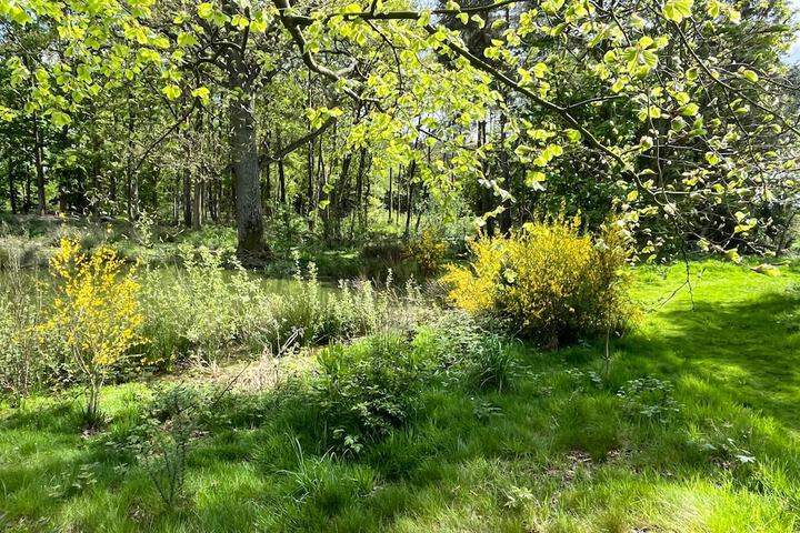 Property Grounds 23 of 34