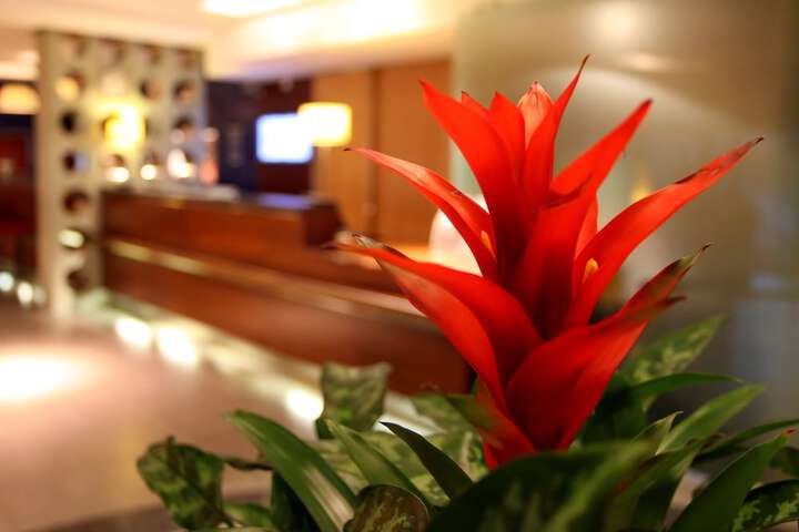 Hotel 55 of 55