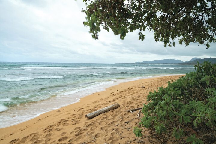 Beach 21 of 55