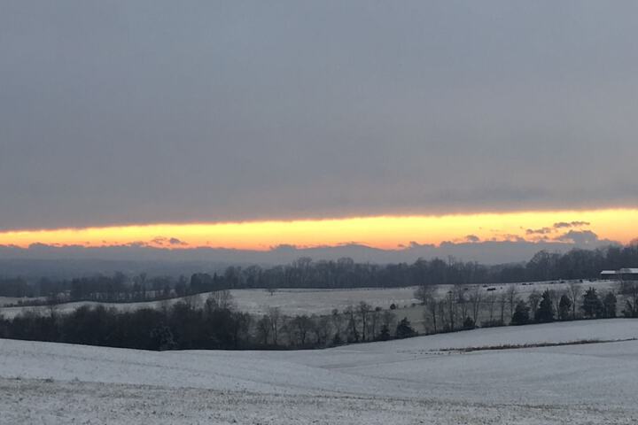 Property Grounds 26 of 36