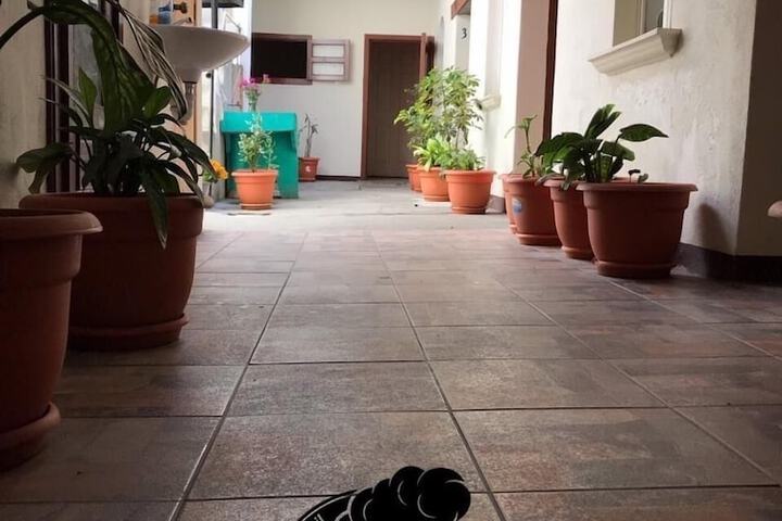 Terrace/Patio 6 of 10