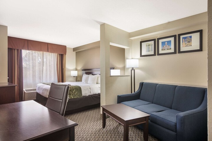 Suite 1 King Bed (10 of 19)
