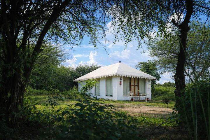 Chandraprabha Resort - Jawai