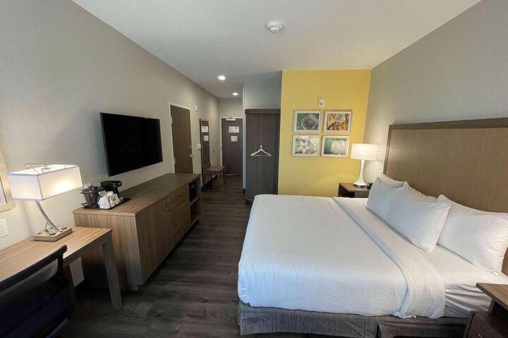 1 King Bed Mobility Hearing Accessible Room Roll in Shower (22 of 26)