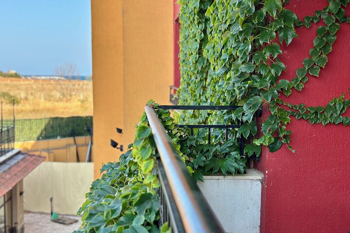 Terrace/Patio 176 of 177
