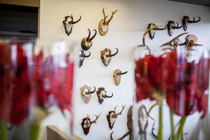 Fitness Facility Photos